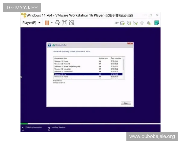 欧博游戏平台怎么样探讨其移动端体验与多设备兼容性的表现